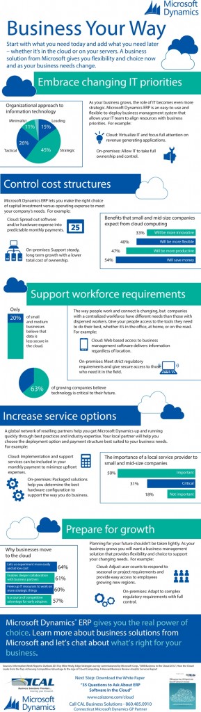 INFOGRAPHIC: Business Your Way